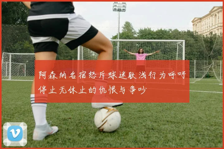 阿森纳名宿怒斥球迷肤浅行为呼吁停止无休止的仇恨与争吵