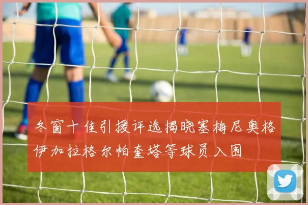 冬窗十佳引援评选揭晓塞梅尼奥格伊加拉格尔帕奎塔等球员入围